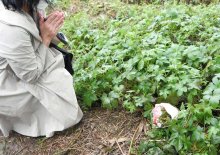 【速報】旧江戸川で発見の遺体、松戸で不明の南朝芽さん（７）と確認　ＤＮＡ型鑑定で、目立った外傷なし