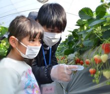 ２０２２～２３年　千葉県内年末年始ガイド・いちご狩り