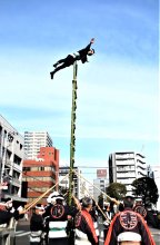 【動画あり】新春飾る６メートルはしご乗り　青空映える２年ぶりの妙技披露　船橋
