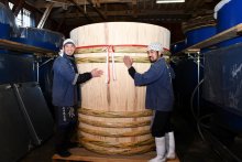  日本酒の木桶にサンブスギ　蔵元「寺田本家」創業３５０年　「神崎の味詰まったお酒に」