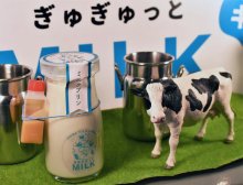 ピンチの酪農家を救え　ペリエ千葉で牛乳スイーツプロジェクト始動　第１弾はミルクプリン