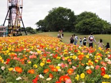ＧＷ初日、千葉県内各地でにぎわい　ドイツ村、開場前からゲートに車　成田山参道、インバウンド目立つ　大山千枚田、家族で田植えに汗　観光需要回復に期待