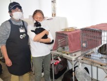 犬猫、カフェで譲渡会　月１回、保護団体と連携　茂原珈琲