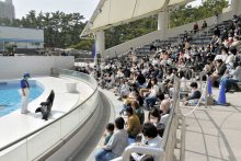 ＧＷの旅行先、千葉県が人気トップ　「コロナ前まで戻って」観光施設ら期待の声　ディズニー、鴨川シーワールド、東京ドイツ村など