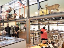 ジビエ食べ放題や物販も　道の駅に「猟師工房ドライブイン」　君津