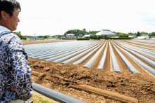 成田に吹いた強風、サツマイモ畑被害　全国２位の生産地　生産者「現場の実情知って」