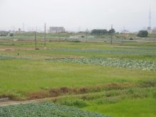 松戸で議論本格化　調整区域開発する？　矢切住民、強まる懸念　【地方発ワイド】