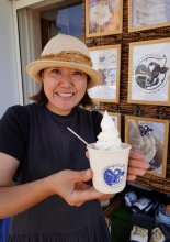 「ジェラソフ」いかが？　御宿産有機牛乳を使用、まるでジェラートなソフトクリーム　試作重ね期間限定販売　「コクがあるけどさっぱり」　