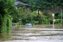 【速報】市原市で最高警戒レベル「緊急安全確保」発令　千葉県内８日午後も大雨続く　長柄町では冠水で車が立ち往生　台風１３号
