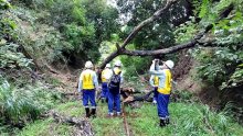 小湊鉄道、集中工事すれば数カ月で復旧　ＪＲＴＴ、被災箇所を調査　台風１３号影響で運休続く