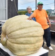 ５７９キロの新記録で優勝　ジャンボかぼちゃ大会で野田市の西山さん　「毎日水を１トンあげた」　鴨川に重量級が集結