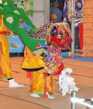 ５年ぶり「岩沼の獅子舞」　初の女性演者も舞台へ、伝統つなぐ　千葉県の無形民俗文化財　長生村