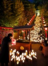 勝浦の宵、幻想的に　竹灯籠で光の川　優しい明かり、神社や商店街包む
