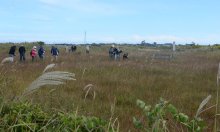 貴重な「平野の原風景」　保護活動実り、植物４５０種以上　成東・東金食虫植物群落　【ふさの国探宝】