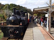 小湊鉄道全線で運転再開　市原、紅葉シーズンでにぎわう　仮復旧、平日は一部運休