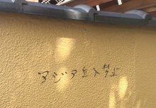船橋の寺院にも落書き　黒いペンで「アジア立入禁止」　昨年９月、門の通用口の壁など　市川の神社と内容類似