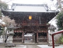 【速報】千葉県北西部に大雪警報　６日明け方まで警戒を　銚子地方気象台　【追記あり】