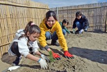 「大きく育ってね」　津波被害の海岸保安林再生へ　親子でクロマツ植樹　旭市