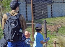千葉市動物公園の入園料１００円値上げ、大人８００円に　６月から　飼料・光熱費高騰影響で