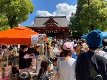 ご当地「煮込み」３６店集結　１４日、市原・飯香岡八幡宮