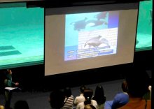 シャチ飼育の歴史紹介　鴨川シーワールド特別レクチャー　５月１８、１９日