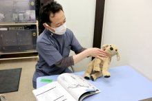 猛暑、ペットも熱中症注意　犬や猫、室内飼いでも危険が　室温管理、判断の「鍵」用意を　千葉県内獣医師に対策聞く