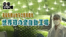 気になるあの記事を「ツイセキ！！」　幕張新都心の地下で野菜を栽培　世界初の全自動工場は量産化に成功したのか　千葉日報×Ｊ：ＣＯＭコラボ第１０弾