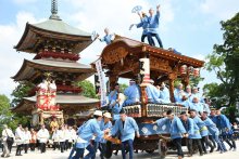 夏の訪れ、成田祇園祭　山車・屋台１０台勢い良く