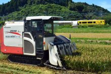 超早場米、早くも稲刈り　有数の米どころ、いすみで