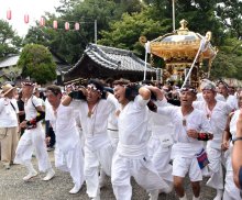 勇壮に「もみ」「さし」披露　館山で「やわたんまち」始まる