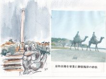 歴史と文化運ぶ役割　黒潮遭難ドン・ロドリゴ物語　【黒潮ものがたり　紀伊・房総】（１４）