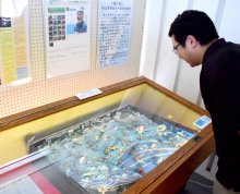 秋山氏と一宮の自然紹介　貝標本や絵画など２４点　中央公民館、３０日まで
