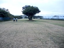 自由に遊べる「広場」無料開放　野田市が遊休農地に整備