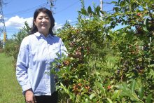 竹炭栽培の野菜人気　未経験から挑戦、販路拡大へ　ファームサポート千葉合同会社（千葉市緑区）　【ちばの元気企業】
