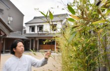 １２０年に１度？黒竹の花咲く　香取の観光休憩所「貴重な花うれしい」