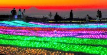移ろう景色、魅惑の輝き　来年２月までイルミ点灯　富津・マザー牧場