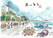 マダコと岬梨に注目　太東港と太東岬　【黒潮ものがたり　紀伊・房総】　(２２)