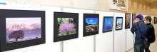 個々の感性光る１９２点　市原、６日まで写真連盟展