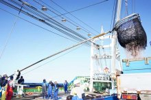 銚子漁港、水揚げ量日本一ならず　サバ不振目立つ