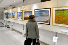 夏から秋の房総活写　そごう千葉店で写真展　１６日まで、入場無料