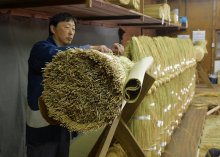 【写真複数あり】成田山新勝寺で大しめ縄作り　初詣客を出迎える準備、わら２５００束編み込む