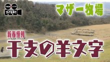 マザー牧場の羊文字、ついに１２支を一周　文字が作られる仕組みも　気になるあの記事を「ツイセキ！！」 　千葉日報×Ｊ：ＣＯＭコラボ第１６弾