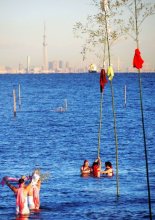 勇壮に厳寒の海へ　若者１５人「梵天立て」　五穀豊穣、大漁祈り　木更津