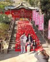 境内華やか４５０体　勝浦連携でひな祭り行事　市原・高瀧神社