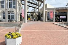 【速報】アロハガーデンたてやま閉園へ　動植物の楽園、１０年の歴史に幕