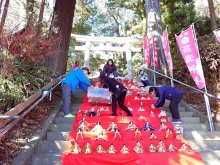 石段に４５０体ずらり　市原でもビッグひな祭り　２２日から初開催、元祖勝浦と連携