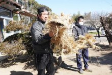【動画あり】わらの「大蛇」で災いよけ　匝瑳・時曽根【写真複数】