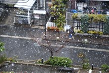 【動画あり】千葉県内で降雪、ひょうやあられも　真冬並み寒さ