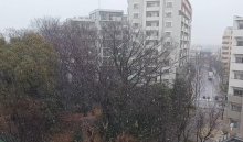 【速報】柏で降雪　千葉県内冷え込み　北西部で雪やみぞれ続く可能性も【動画あり】