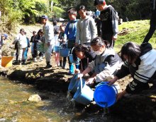 アユ大きく育ってね！　富津の小学生、湊川に稚魚放流　